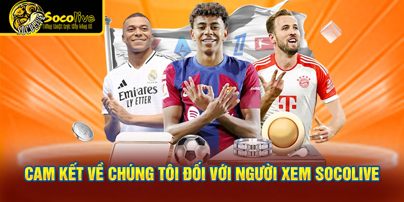 Cam kết về chúng tôi