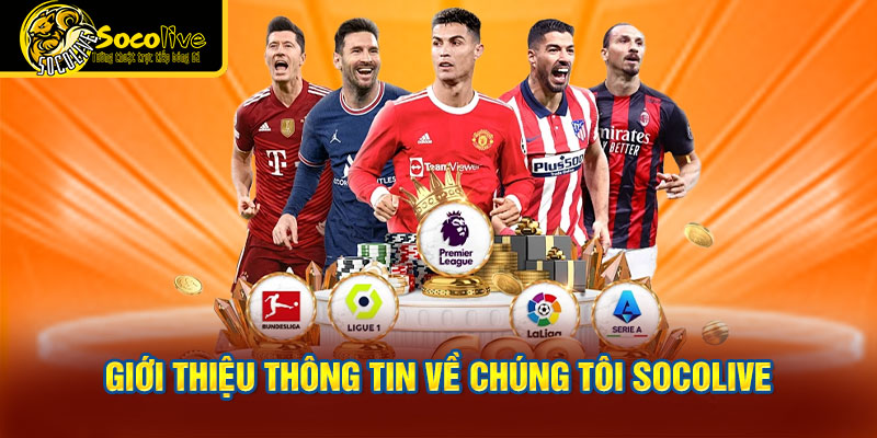 thông tin về chúng tôi Socolive